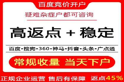 SEM服务托管：提升广告效果的成功案例解析